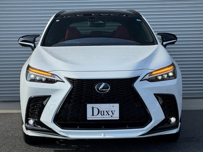 2025 Lexus NX 缩略图 15
