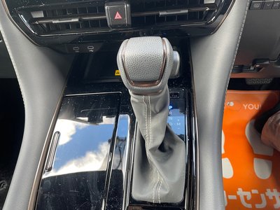 2024 Toyota ALPHARD 照片 11
