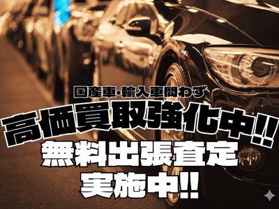 2025 Toyota LAND CRUISER 250 — фото 71