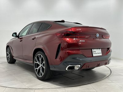 2025 BMW X6 thumbnail 17