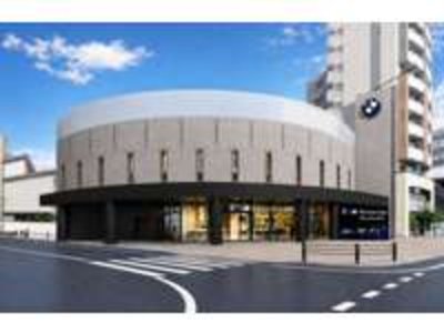 2025 BMW X6 thumbnail 58