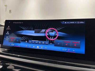 2025 BMW X6 photo 10