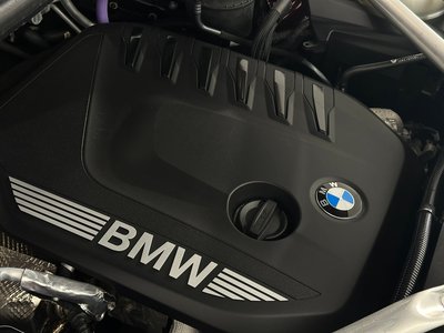 2025 BMW X6 thumbnail 57