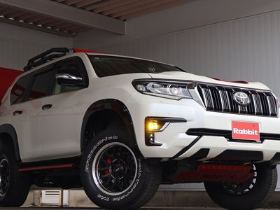 2019 Toyota LAND CRUISER PRADO — фото 3