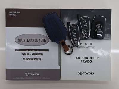 2019 Toyota LAND CRUISER PRADO — фото 42