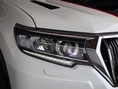 2019 Toyota LAND CRUISER PRADO — фото 20