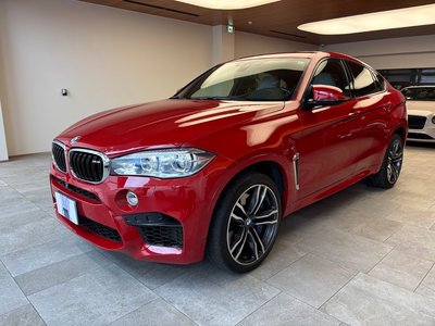 2019 BMW X6 M — фото 1