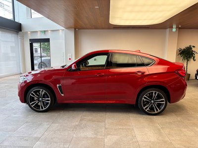 2019 BMW X6 M — фото 8