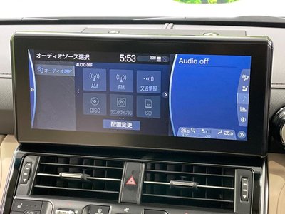 2024 Toyota LAND CRUISER 300 thumbnail 31