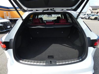 2024 Lexus RX thumbnail 38