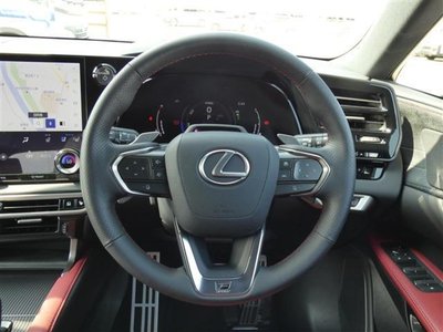 2024 Lexus RX photo 14