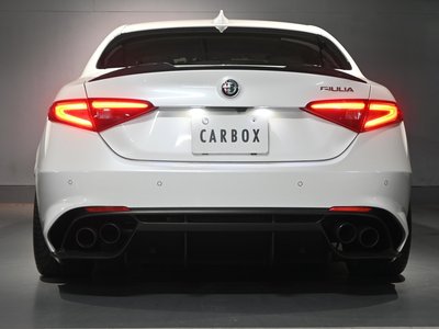 2017 ALFA Romeo JULIA 照片 11