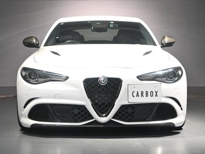 2017 ALFA Romeo JULIA 照片 5