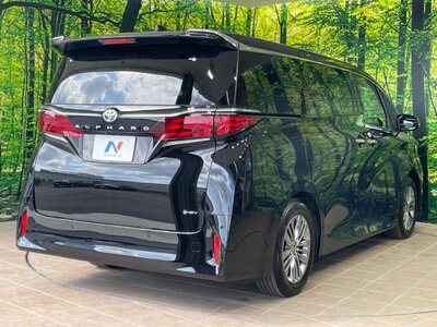 2024 Toyota ALPHARD — фото 22
