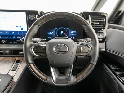 2024 Lexus LM 照片 24
