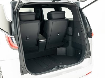 2024 Lexus LM 照片 18