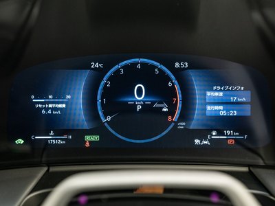 2024 Lexus LM 照片 25