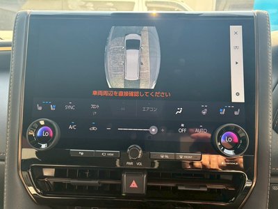 2025 Toyota ALPHARD 照片 43
