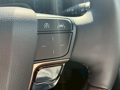 2025 Toyota ALPHARD 照片 13
