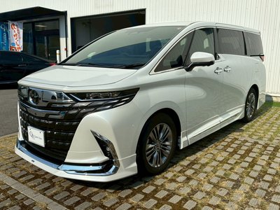 2025 Toyota ALPHARD 照片 26