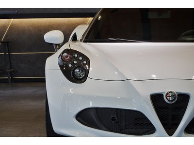 2015 ALFA Romeo 4C — фото 20