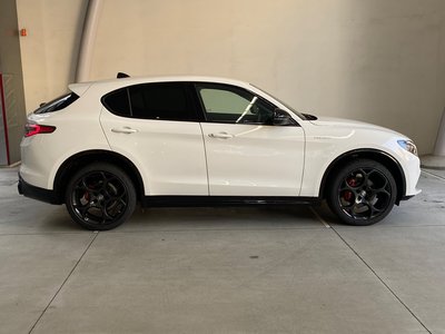 2025 ALFA Romeo STELVIO — фото 10