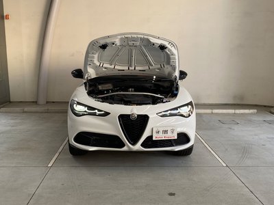 2025 ALFA Romeo STELVIO — фото 67