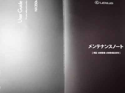 2023 Lexus NX 缩略图 29