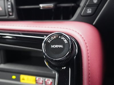 2023 Lexus NX 缩略图 24