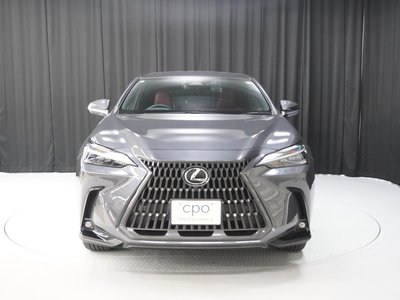 2023 Lexus NX 缩略图 8