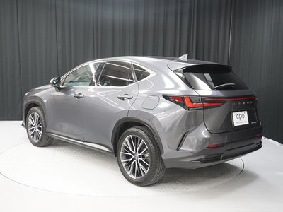 2023 Lexus NX 缩略图 4