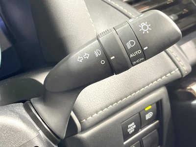 2025 Toyota ALPHARD — фото 39