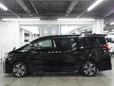 2023 Toyota ALPHARD 照片 13