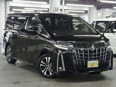 2023 Toyota ALPHARD 照片 8