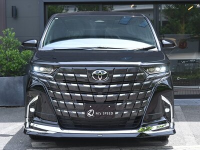 2025 Toyota ALPHARD — фото 12