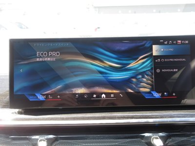 2026 BMW X6 thumbnail 68