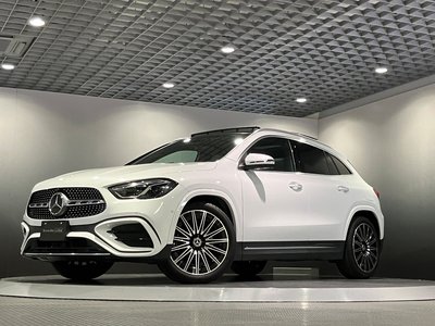 2023 Mercedes-BENZ GLA photo 12