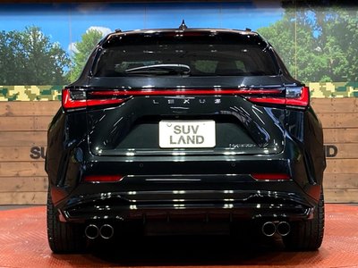 2023 Lexus NX photo 15