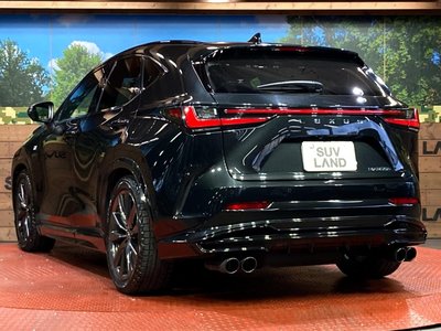 2023 Lexus NX thumbnail 29