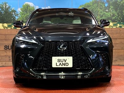 2023 Lexus NX photo 14