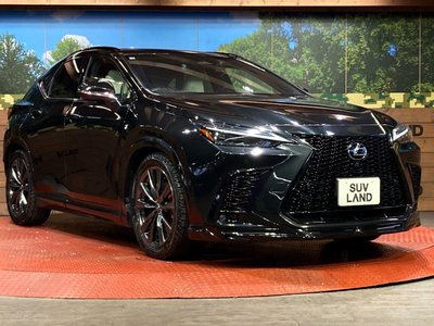 2023 Lexus NX photo 16