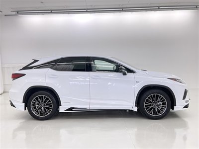 2021 Lexus RX 缩略图 19