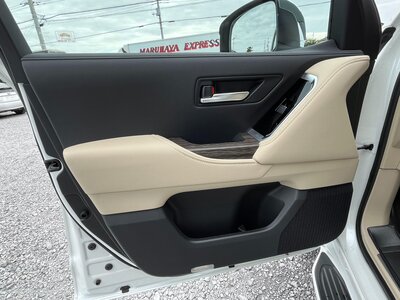 2023 Toyota LAND CRUISER 300 照片 22
