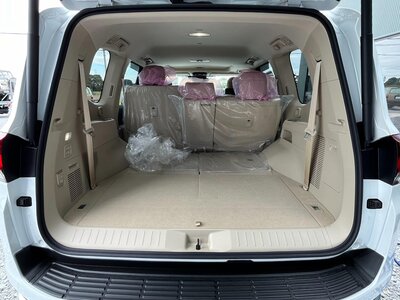 2023 Toyota LAND CRUISER 300 照片 77
