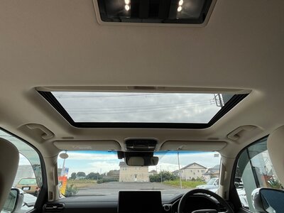 2023 Toyota LAND CRUISER 300 照片 111