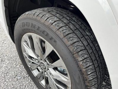 2023 Toyota LAND CRUISER 300 照片 20