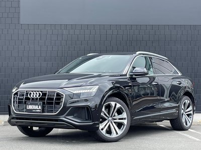2019 AUDI Q8 照片 58