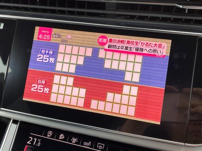 2019 AUDI Q8 照片 14