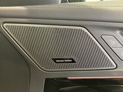 2026 BMW IX1 照片 41