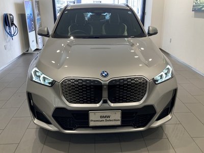 2026 BMW IX1 照片 48